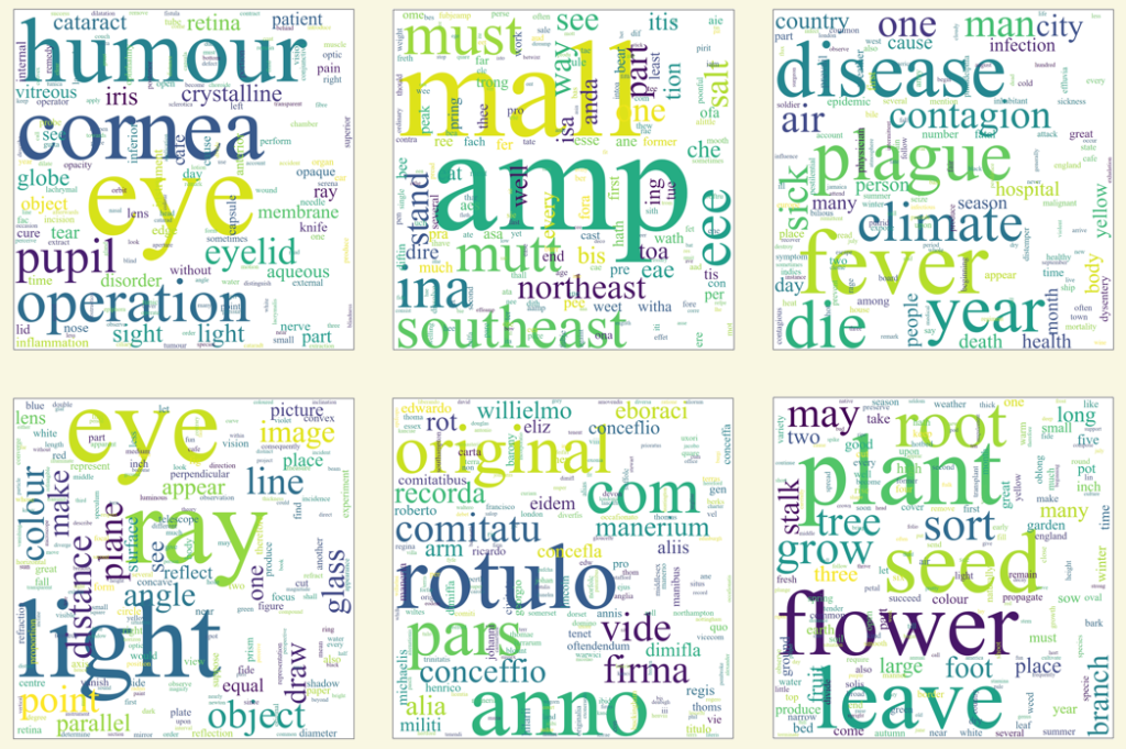 Six word clouds arranged in two rows of three. All clouds contain a few large words and many smaller words. Prominent words in each cloud include: 1. eye, cornea, humour, operation 2. mall, amp, must, southeast, mutt, eee 3. fever, disease, plague, year, die 4. light, eye, ray 5. rotulo, anno, original, com, pars 6. plant, flower, leave, seed, root